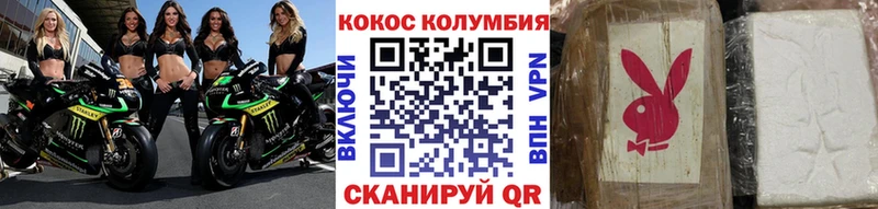 COCAIN Fish Scale  как найти   Исилькуль 