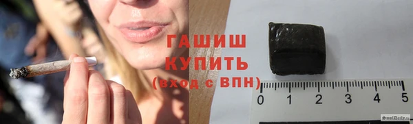 гашик Заводоуковск