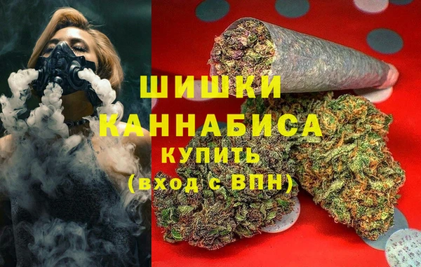 гашик Заводоуковск