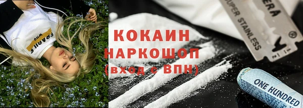 гашик Заводоуковск