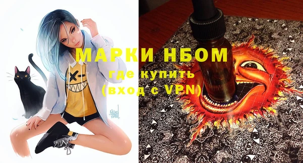 гашик Заводоуковск